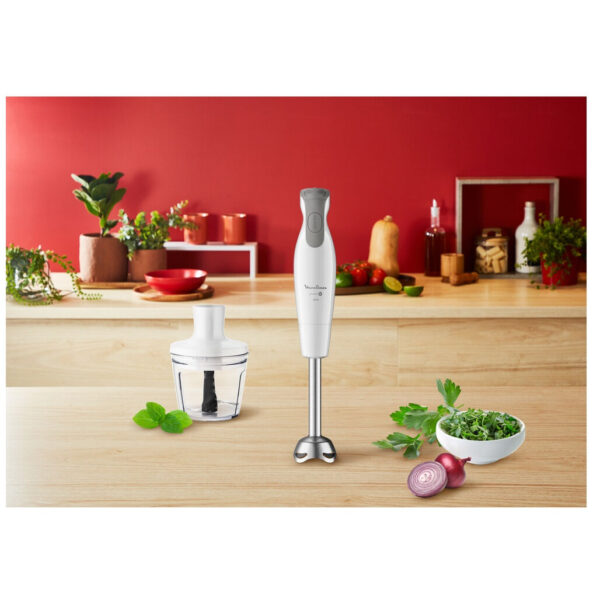 خرید و قیمت | گوشت کوب برقی مولینکس مدل DD553110