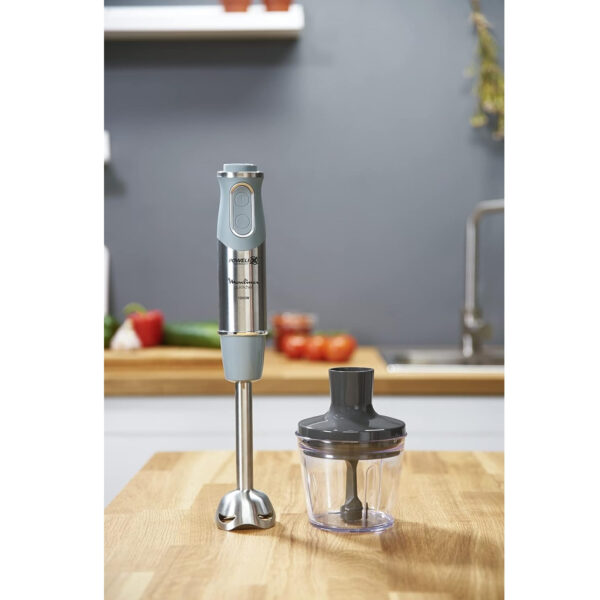 خرید و قیمت | گوشت کوب برقی مولینکس مدل DD656D27
